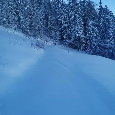 La Vie Est Belle - Magical Escape - Swiss Alps *